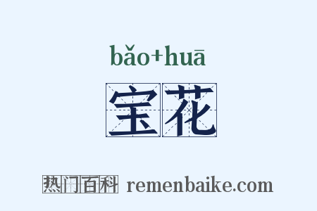 宝花是什么意思的图片